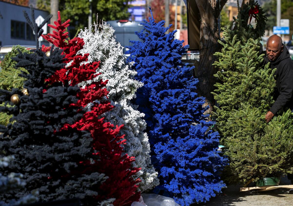Christmas trees stand along a street, including ones colored red, white and blue. 
