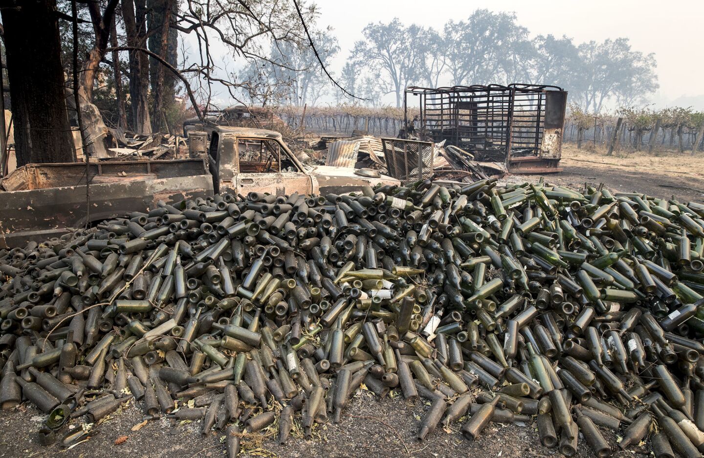 Hundreds of burned wine bottles at the destroyed Helena View Johnston Vineyards near Calistoga.