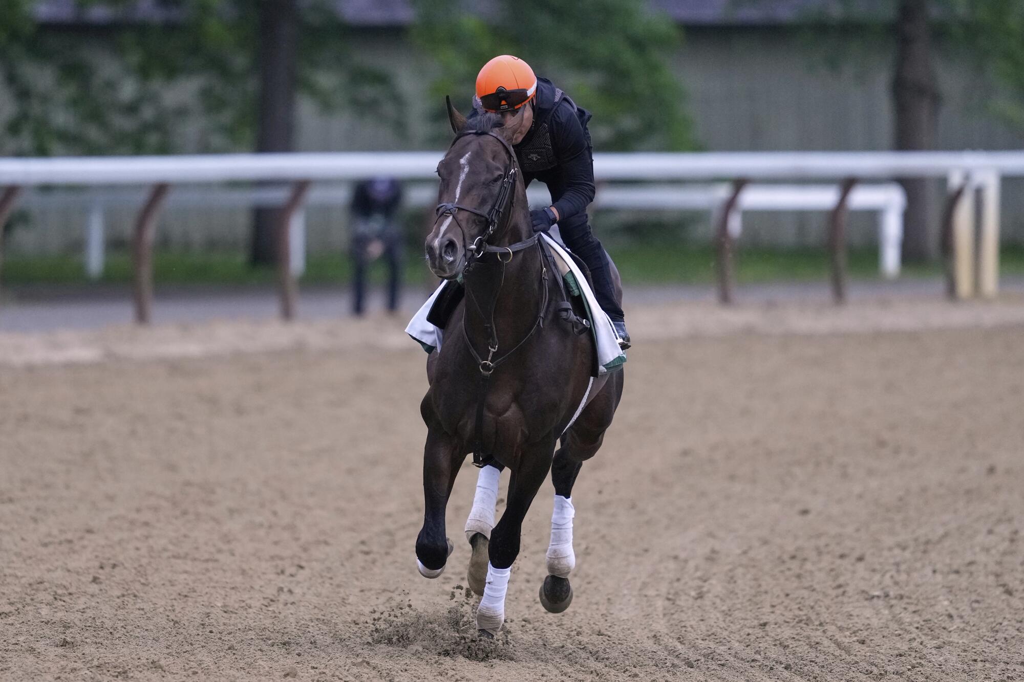 Sovereignty trains at Saratoga Race Course on Friday.