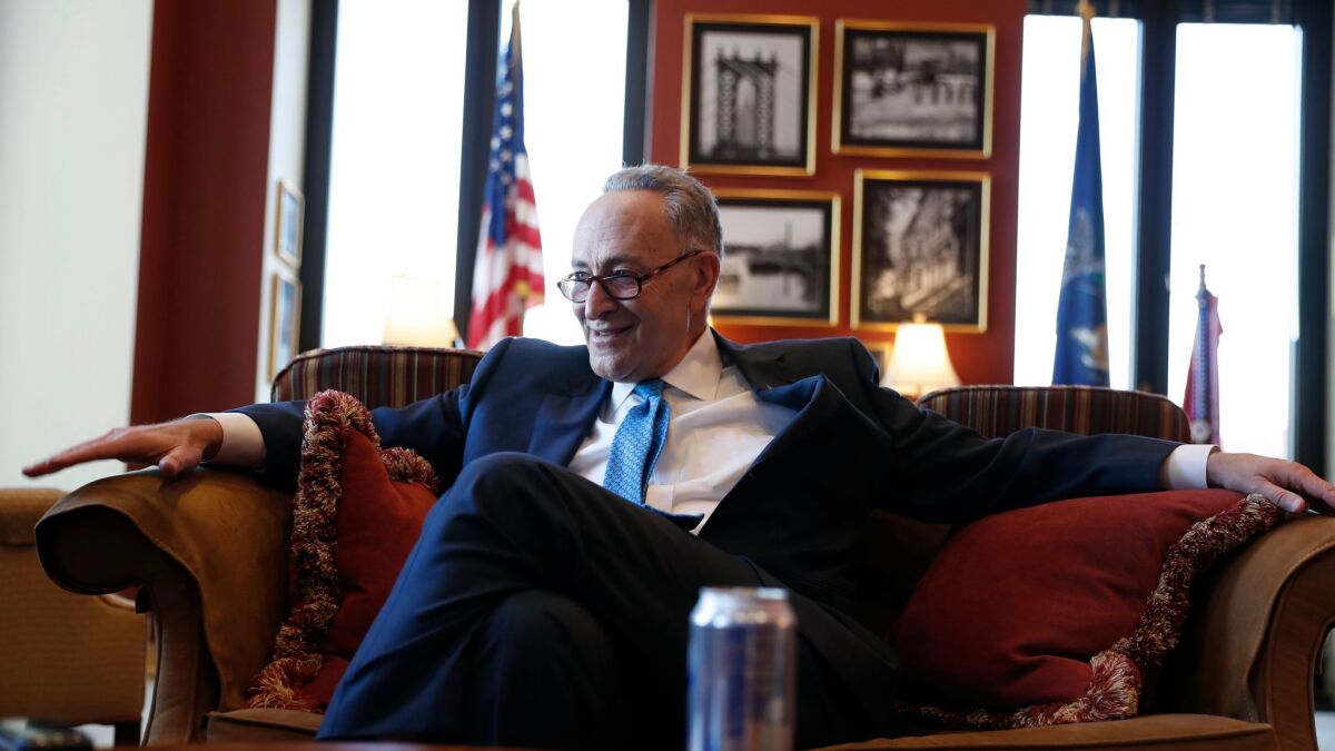 Senate Minority Leader-elect Charles E. Schumer (D-N.Y.) says China’s investments in U.S. industries deserve a more critical look from Washington regulators.