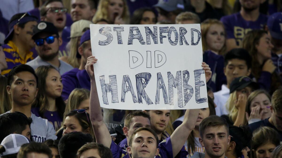 A University of Washington student holds a "Stanford Did Harambe" sign at a college football game on Sept. 30.