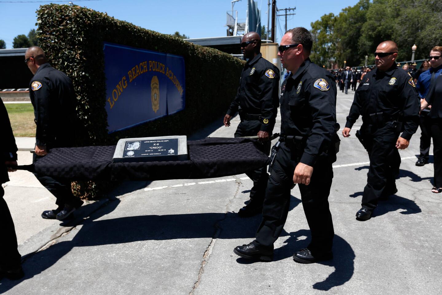 Police dog memorial