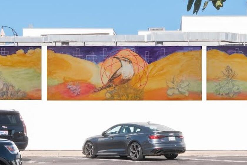 "Mukikmalim, Su'ulim, Chem-tema-ki'ay (Birds, Stars, Our Lands)" by Gail Werner has been installed at 7836 Herschel Ave.
