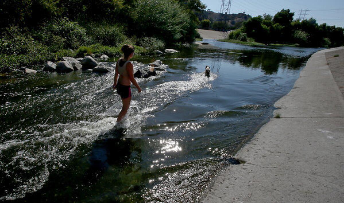 Glendale resident Sarita Vidal and her springer spaniel, Jeni, cool off in the Glendale Narrows area of the Los Angeles River last month.
