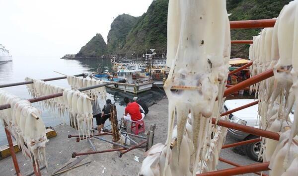 Boys fish under racks of drying squid. Article: On a South Korean isle, a life of squid fishing is slipping away