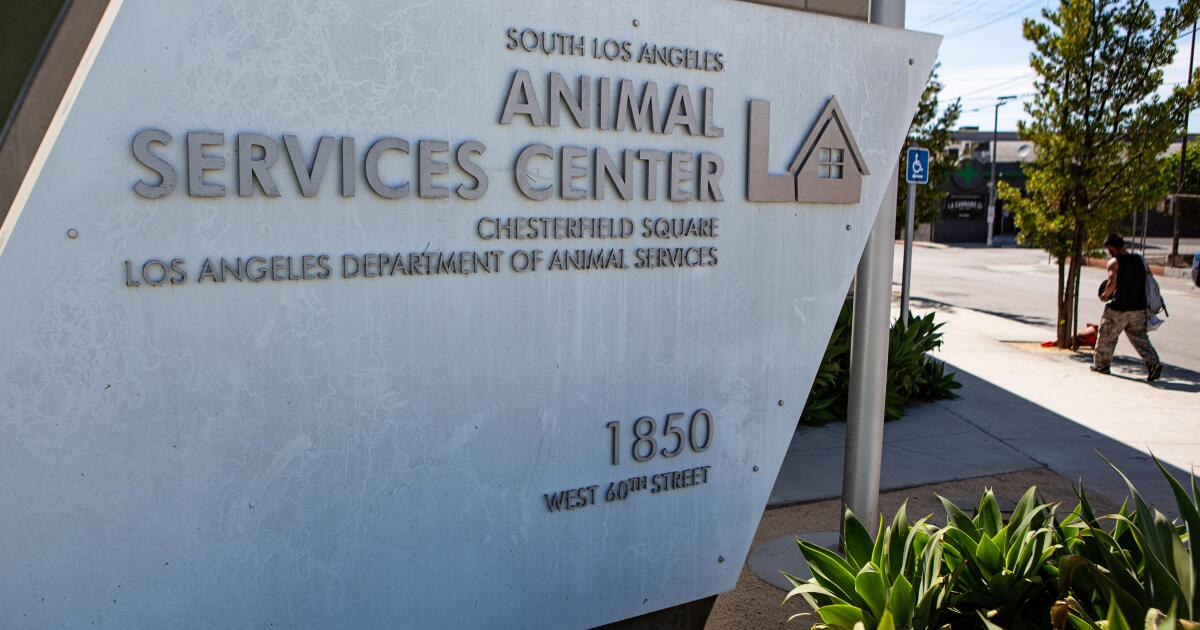 L.A. moves to protect renters who got pets amid pandemic lockdown