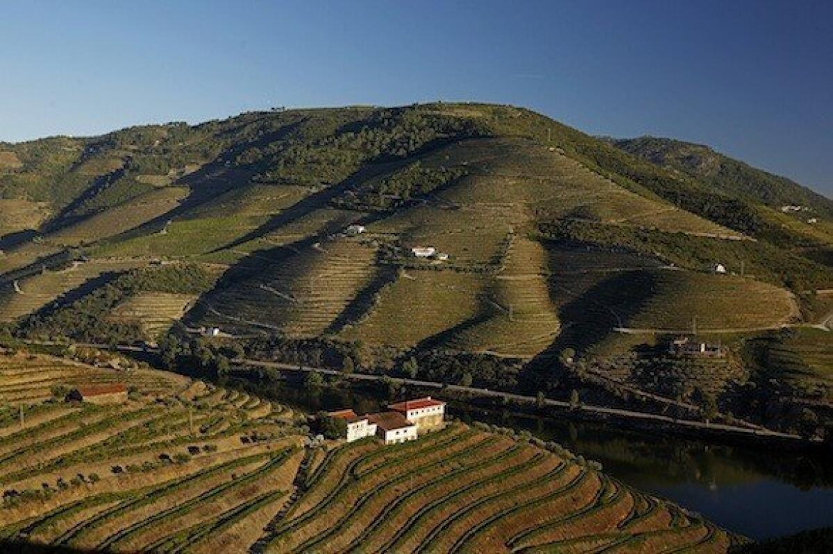 The Douro River and surrounding valley in northern Portugal was the No. 1 pick for Lonely Planet's places in Europe to visit this year.