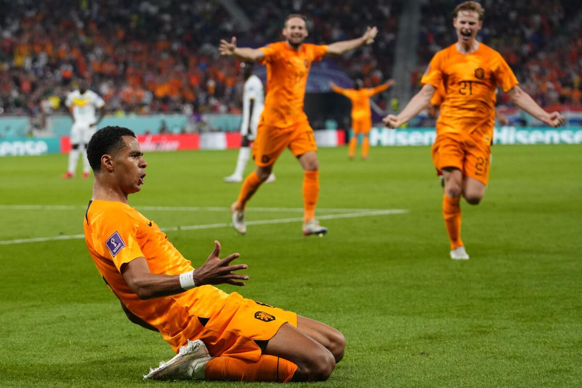 Netherlands top Group A with victory over World Cup hosts Qatar, Qatar World  Cup 2022