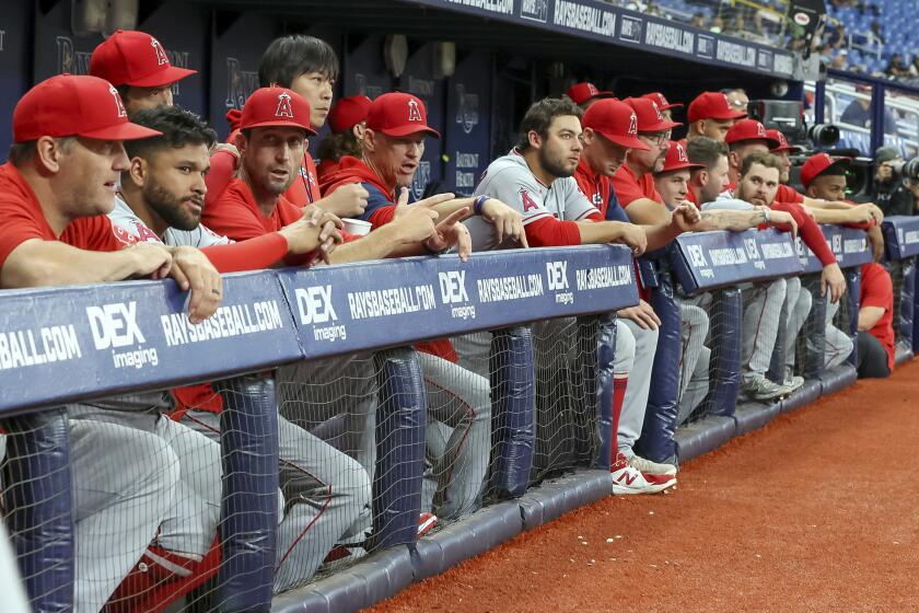 Members of the Los Angeles Angels look on during the first inning of a baseball game against the Tampa Bay Rays Tuesday, Aug. 23, 2022, in St. Petersburg, Fla. (AP Photo/Mike Carlson)