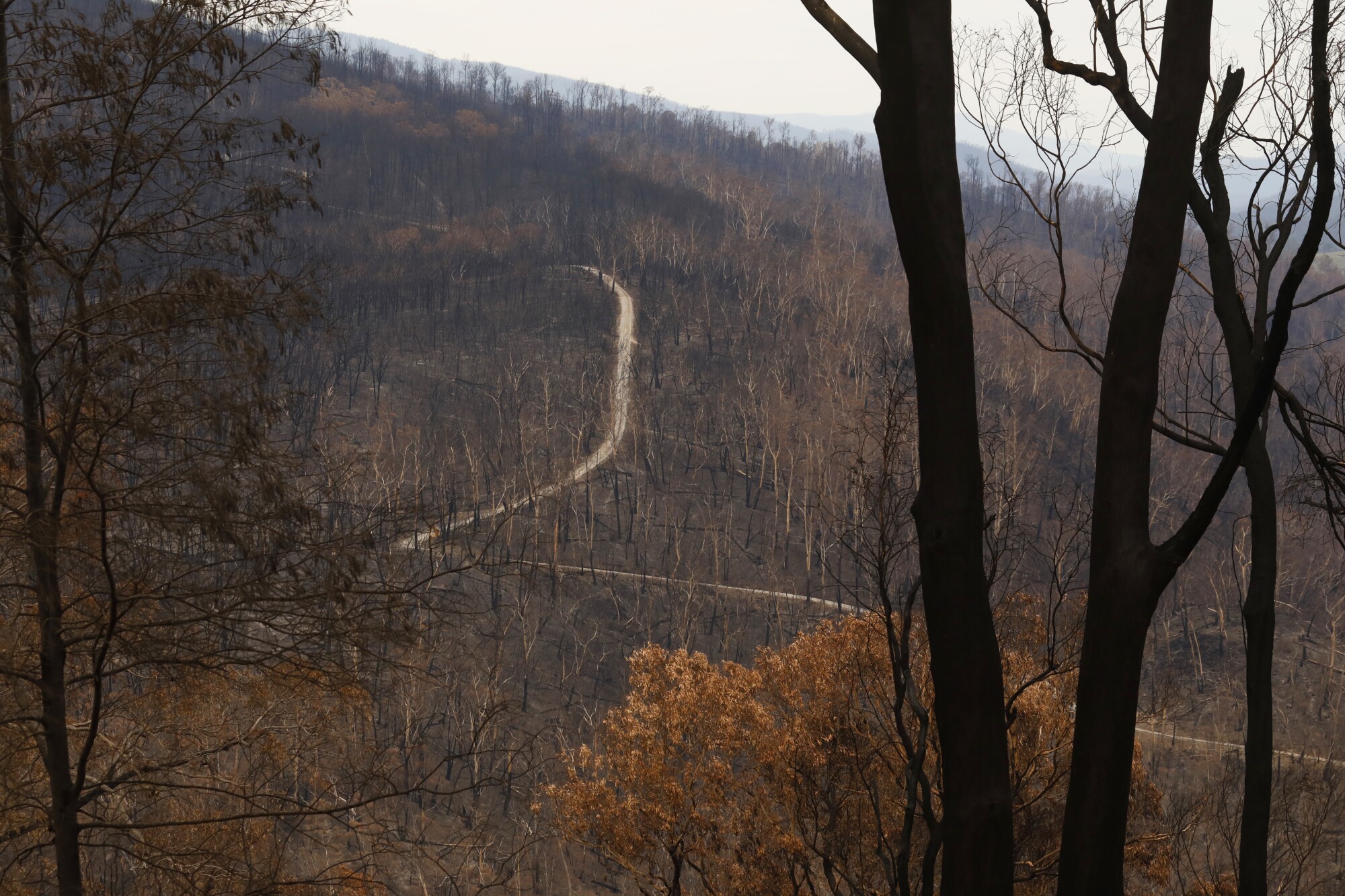 Australia fires