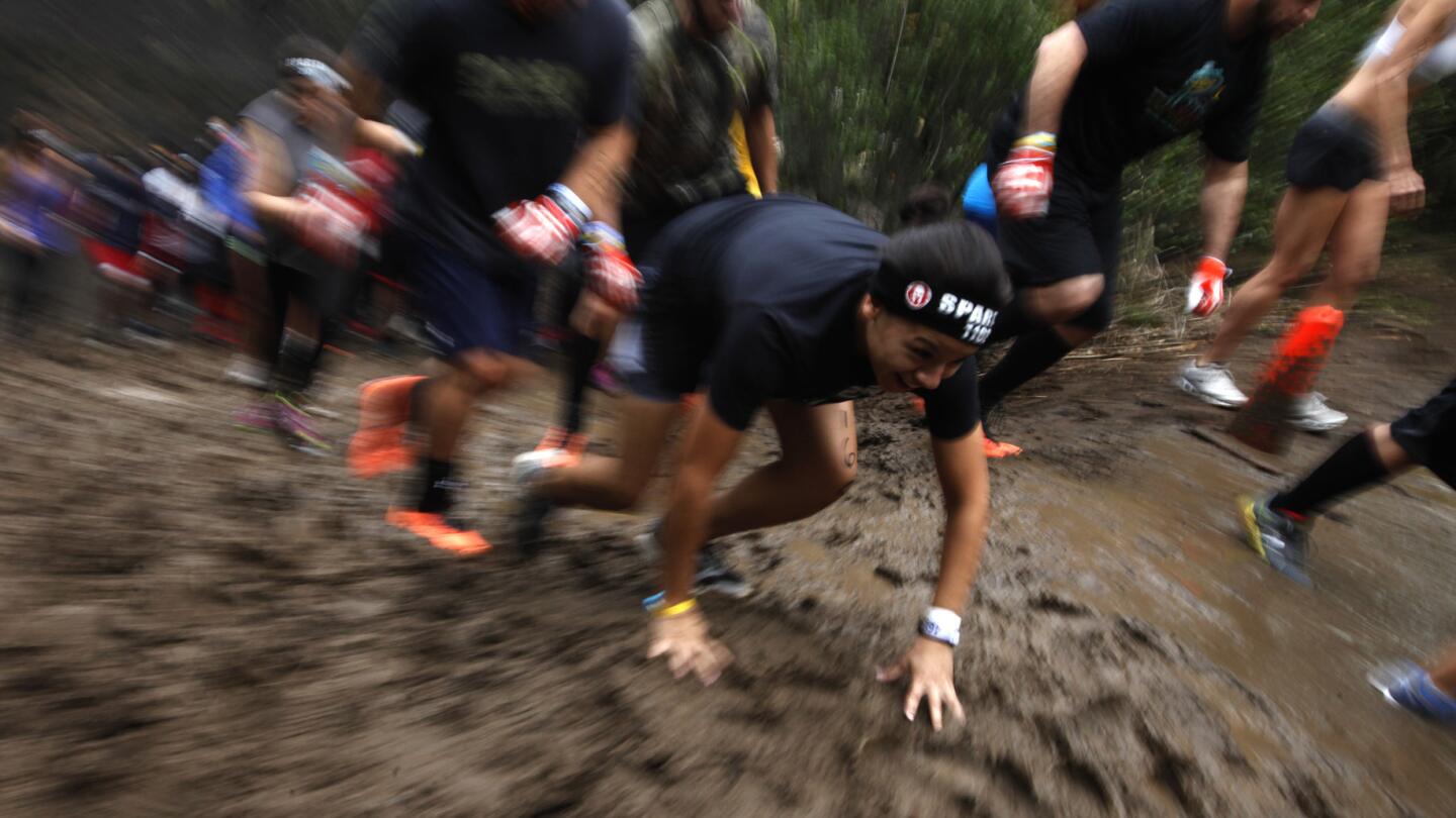 A muddy run