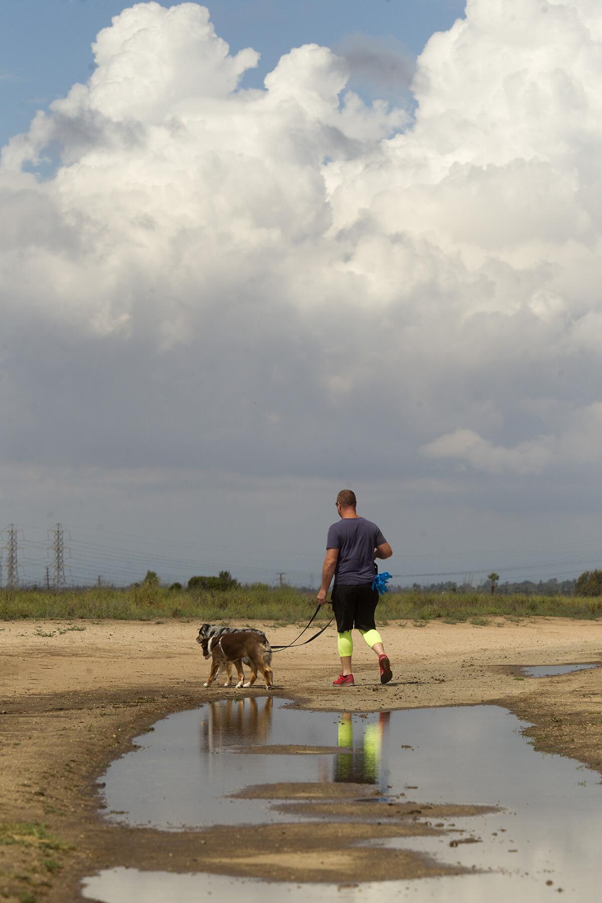 A man walks his dogs through Fairview Park under rain clouds after a hard yet brief squall passed through the area in Tuesday morning.