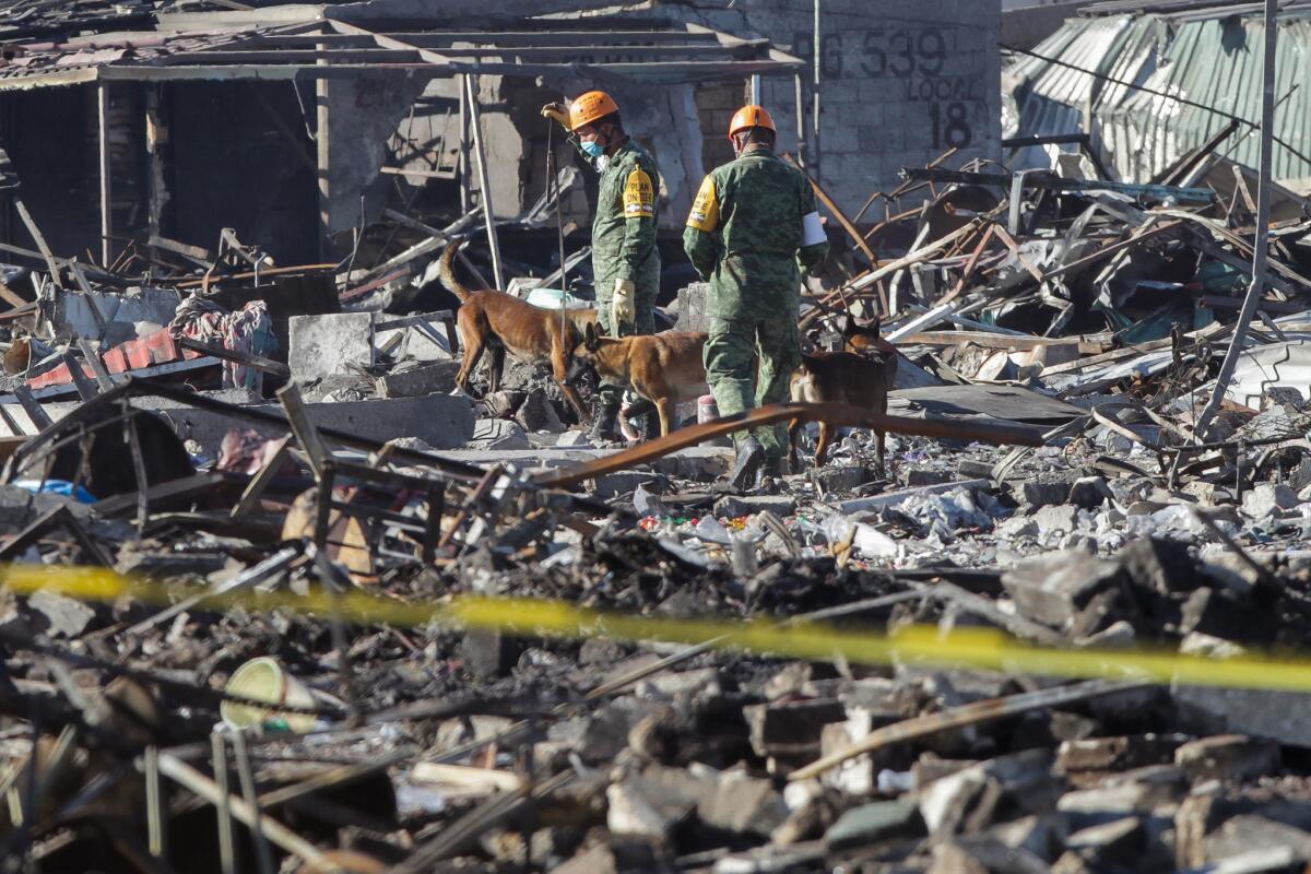 Personal del ejercito mexicano realiza labores de búsqueda y rescate con perros entrenados en la zona donde se registró la explosión en el Mercado de Pirotecnia de San Pablito, en el municipio mexicano de Tultepec .