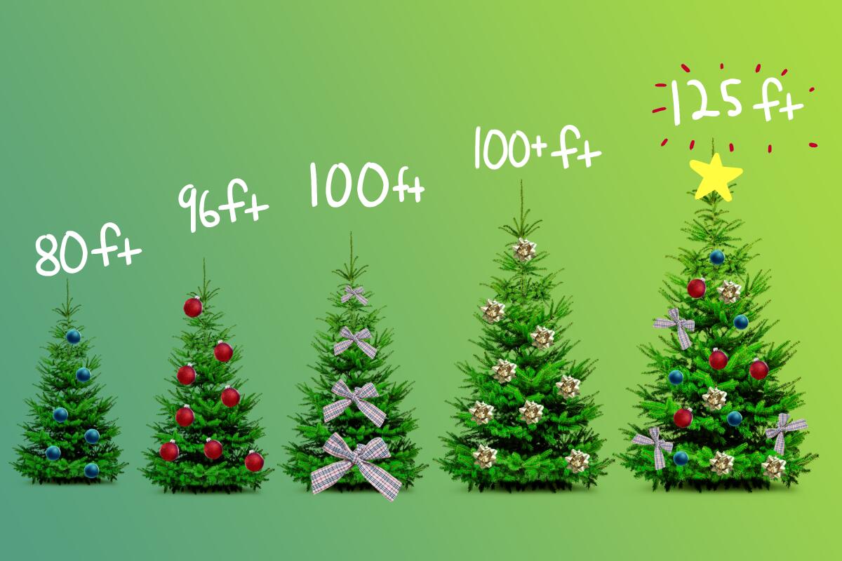 Decorated Christmas trees of varying heights