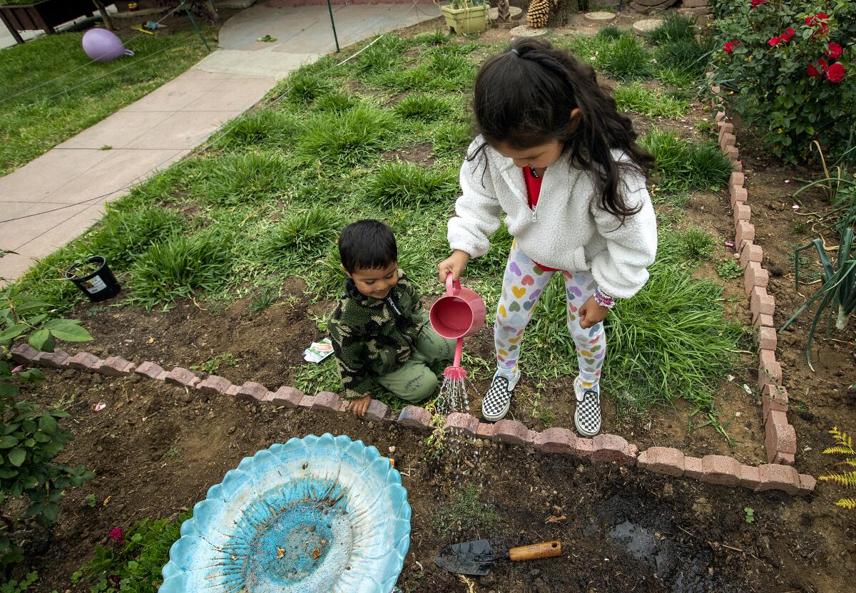 A girl with a pink watering can and checkerboard shoes waters newly planted seeds while here little brother looks on 