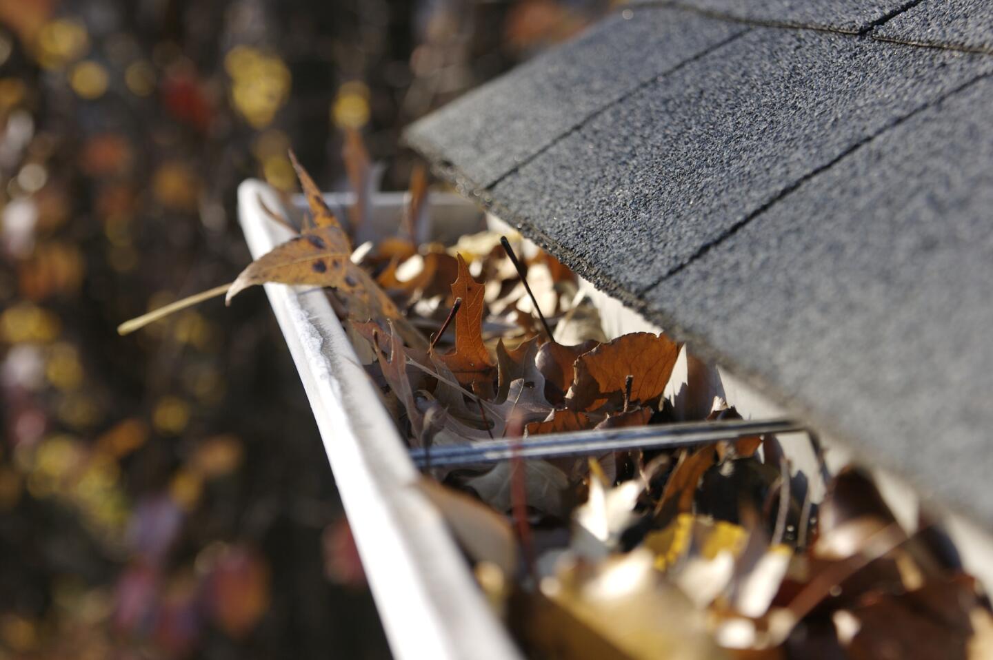 Clean out your gutters and downspouts, and then clean them again. Don Vandervort, founder of Hometips.com, an online home improvement information and instruction site, clears the debris from his gutters and downspouts before a potential rainy season and then does it again after the first rain. Also look for any breaks and make sure the gutters are tight against the roofline. While you're at it, seal up any holes from cables and other wires that penetrate exterior walls.