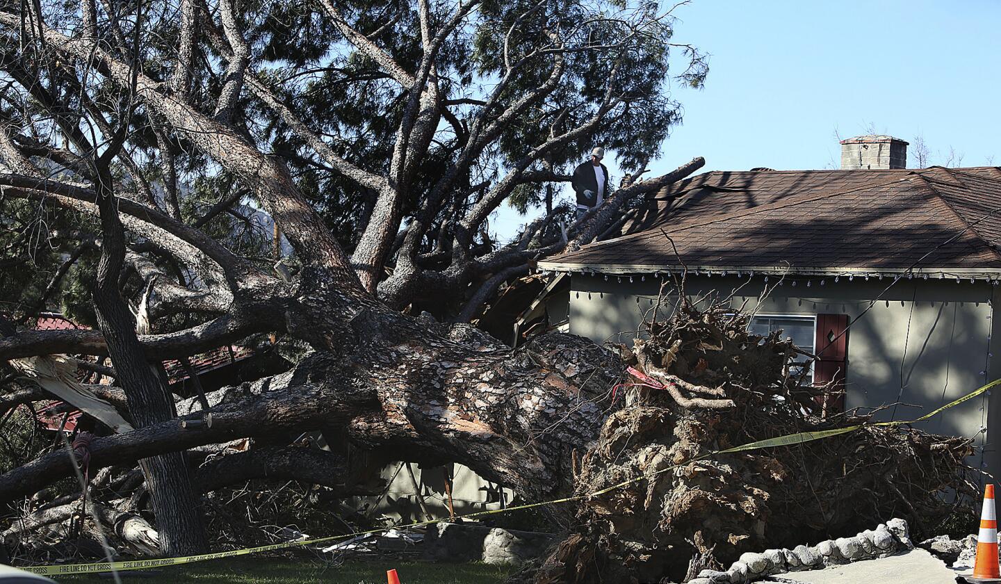 La Crescenta storm damage