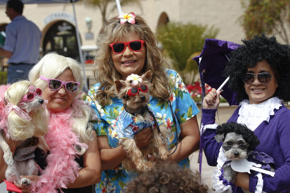 Competitors in the "Whose Dog Looks Most Like Their Owner" contest at the Del Mar Ugly Dog Contest held on Sunday. (Nelvin C. Cepeda)