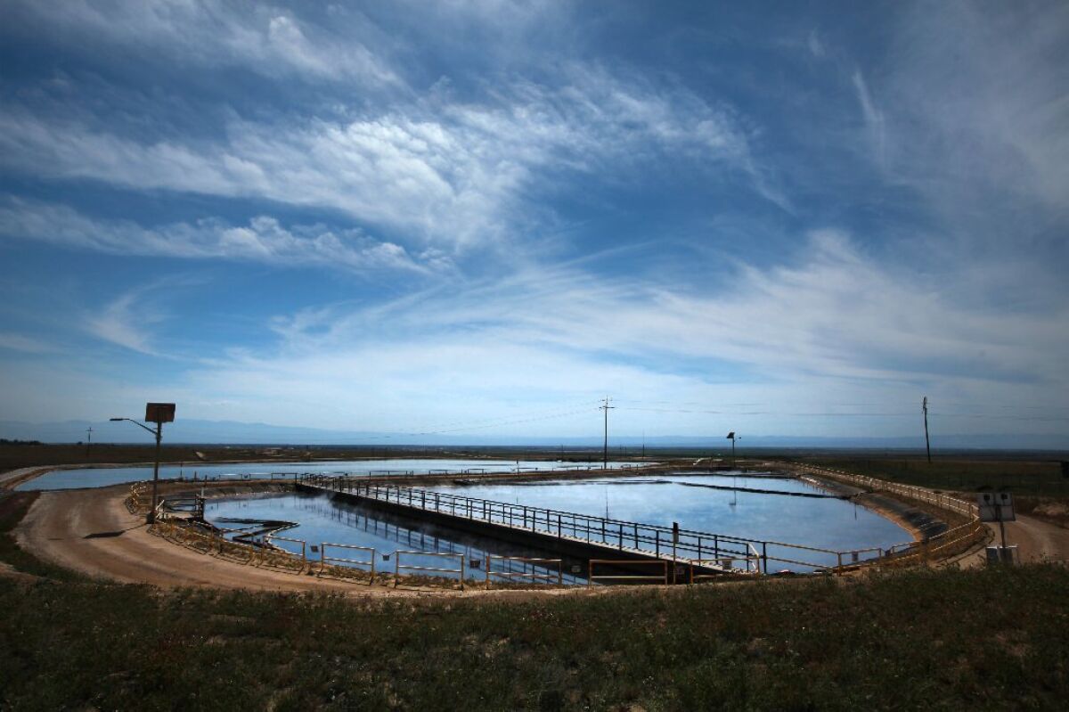 Oil field wastewater in a treatment pond near Bakersfield operated by the Cawelo Water District. Treated oil field water serves 90 farms in Kern County.