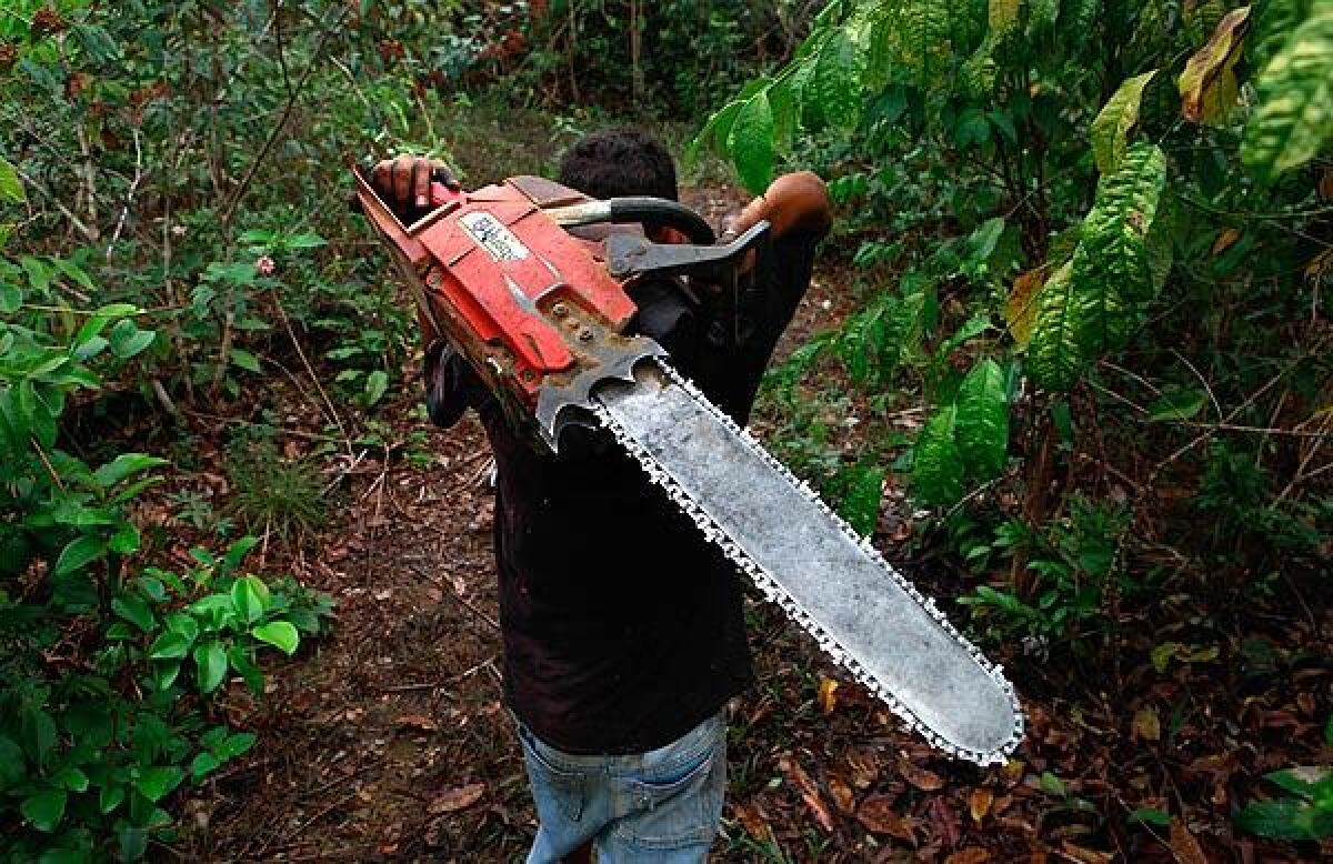 A 16-year-old carries his chainsaw home after cutting trees in Brazil's Amazon rainforest region.
