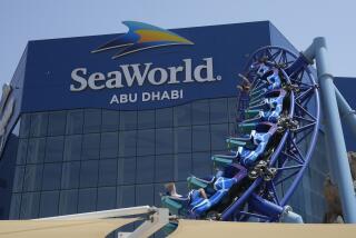 People enjoy riding on a roller coster at the SeaWorld on Yas Island in Abu Dhabi, United Arab Emirates, on May 26, 2023. A decade after the outcry over its treatment of captive killer whales nearly put SeaWorld out of business, the company has opened a massive new marine life park in the United Arab Emirates, its first venture outside the United States. A $1.2 billion venture with state-owned developer Miral features the world's largest aquarium and cylindrical LED screen, as well as state-of-the-art facilities housing dolphins, seals, and other animals. (AP Photo/Nick ElHajj)