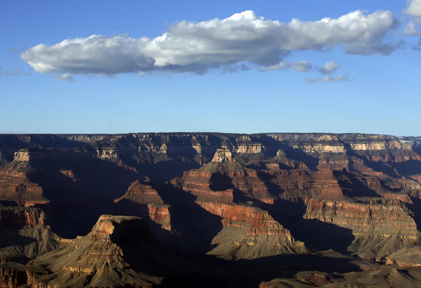 Wispy clouds float above the Grand Canyon on a late afternoon.