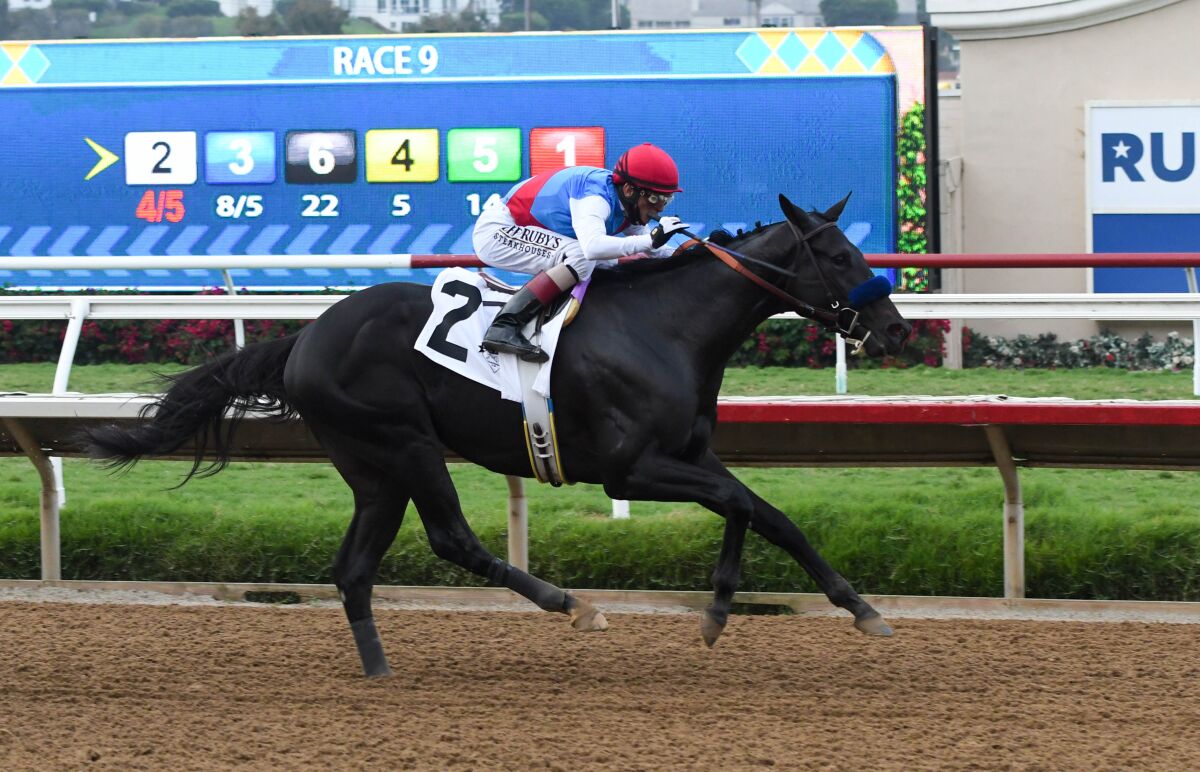 Under jockey John Velazquez, Medina Spirit finished the 1-mile race on the main track in 1:37.29.