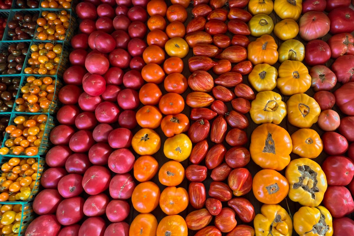 Rows of cherry tomatoes, apples and bell peppers make stripes of red and orange. 