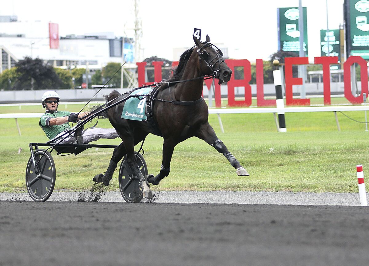 In this photo provided by Michael A. Lisa/Meadowlands Racing & Entertainment, Captain Corey (4) runs to give trainer-driver Ake Svanstedt his second win in the $1 million Hambletonian at the Meadowlands in East Rutherford, N.J., Saturday, Aug. 7, 2021. (Michael A. Lisa/Meadowlands Racing & Entertainment via AP)