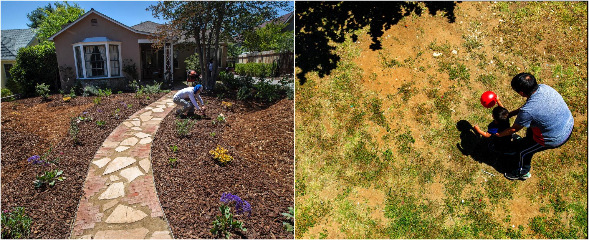 At left, a newly installed drought tolerant garden. At right, a woman teaches her grandson to walk.