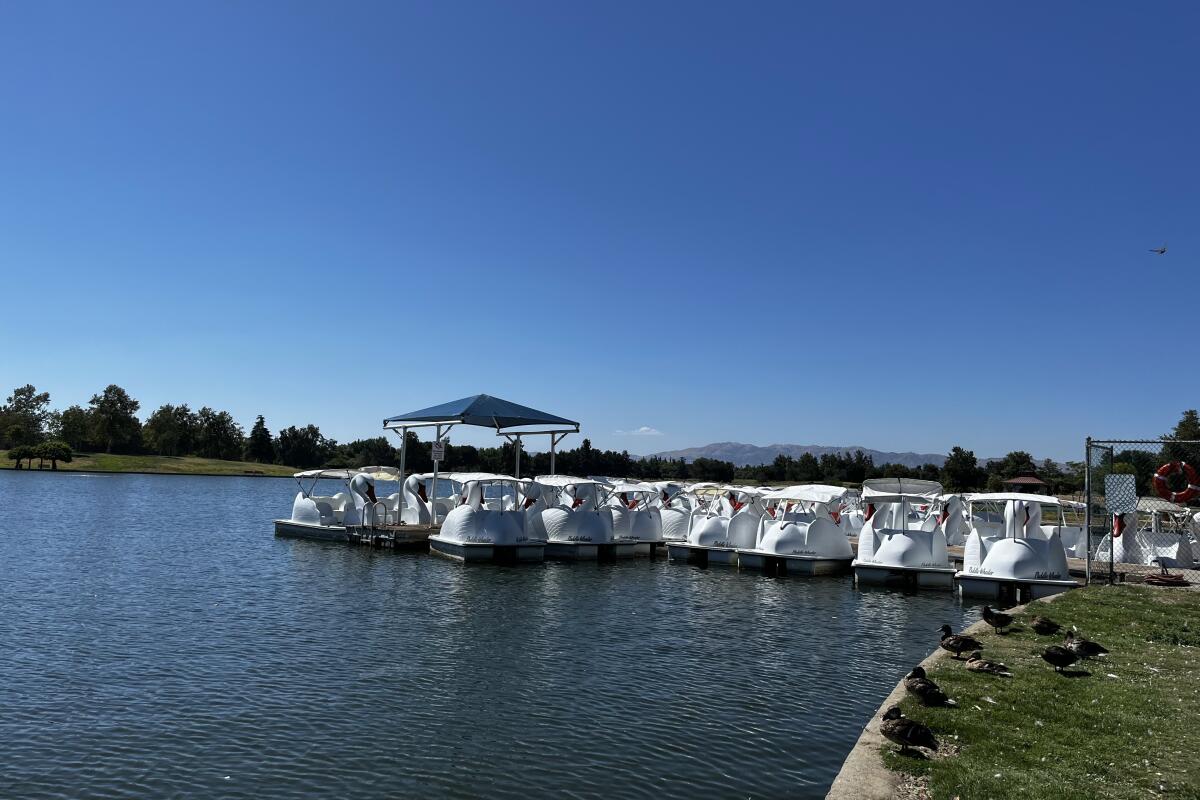 Swan boats wait at the dock at Lake Balboa park.