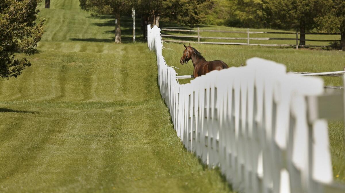 Bedminster, N.J., is a wealthy community with many horse farms.