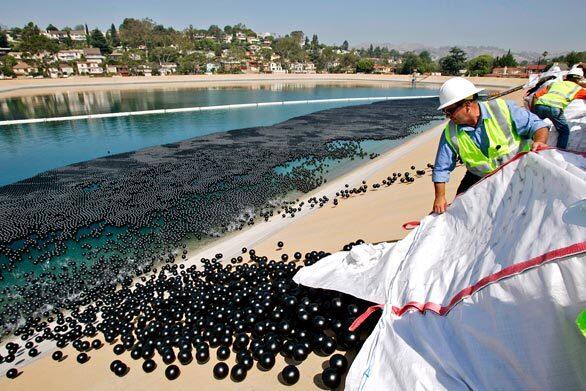 Los Angeles Department of Water and Power workers empty bales of plastic balls into Ivanhoe Reservoir in the Silver Lake area of Los Angeles. About 400,000 of the 4-inch balls were released as the first installment of approximately 3 million to form a floating cover over the reservoir and prevent the formation of harmful bromate in the water.