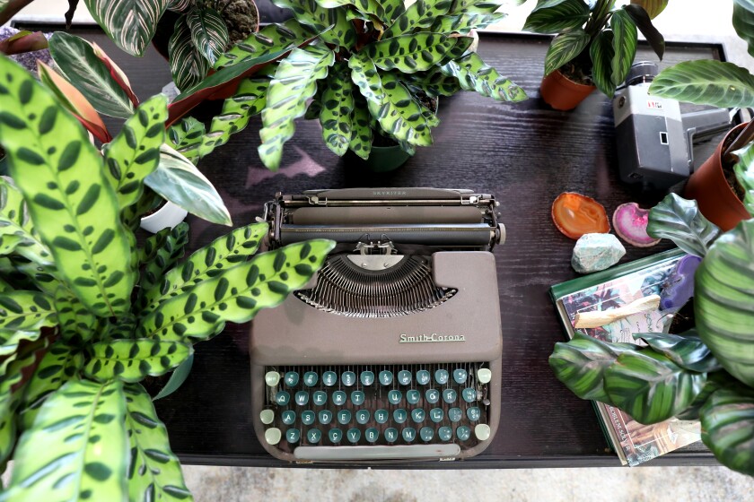 Overhead picture of a brown typewriter surrounded by plants 