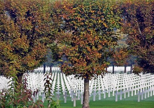 Linden trees border rows of crosses at Meuse-Argonne, the largest U.S. military cemetery in Europe.