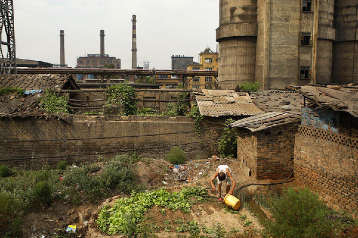 Wang Xixhan tends a small garden at his home in the shadow of a steel mill in Linfen. The ancient city, once known for its fruits and flowers, in recent years earned the World Bank's dubious distinction of most polluted city on Earth. After that rebuke, Chinese officials cracked down on some of the illegal coal mines in Linfen as well as its dirtiest coal-fired furnaces. Residents say things have improved — vegetables will grow now and people's headaches and nausea have diminished.