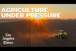 Agriculture under pressure: The Imperial Valley braces for a future with less water