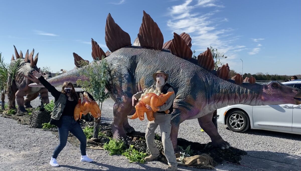 Una invasión de dinosaurios llega a San Diego - San Diego Union-Tribune en  Español