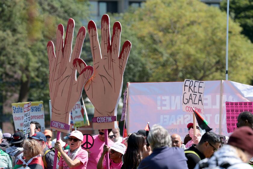 Protesters at Union Park on Monday, August 19, 2024 in Chicago, IL.