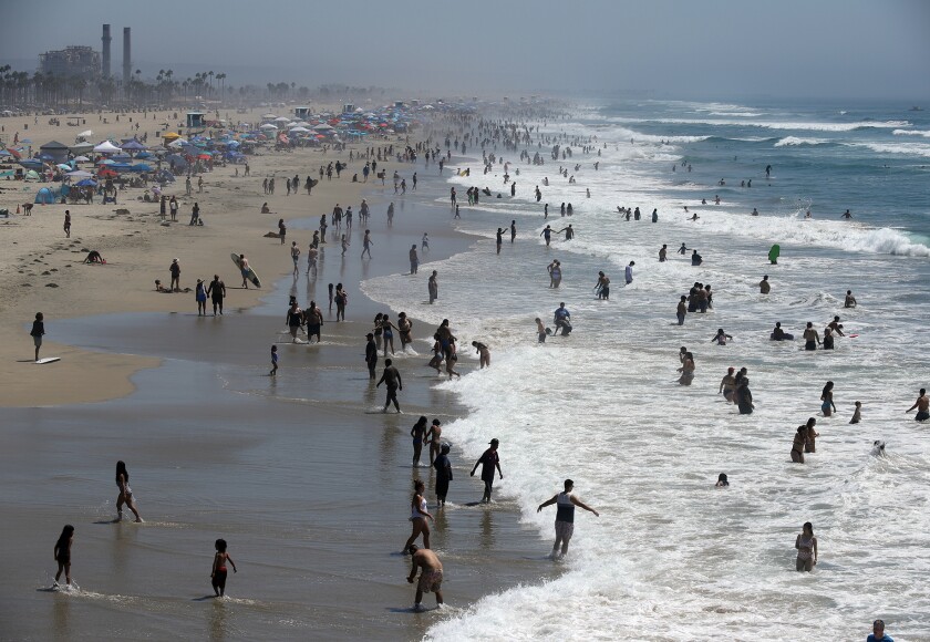 Crowds of bathers swim in the Pacific Ocean.