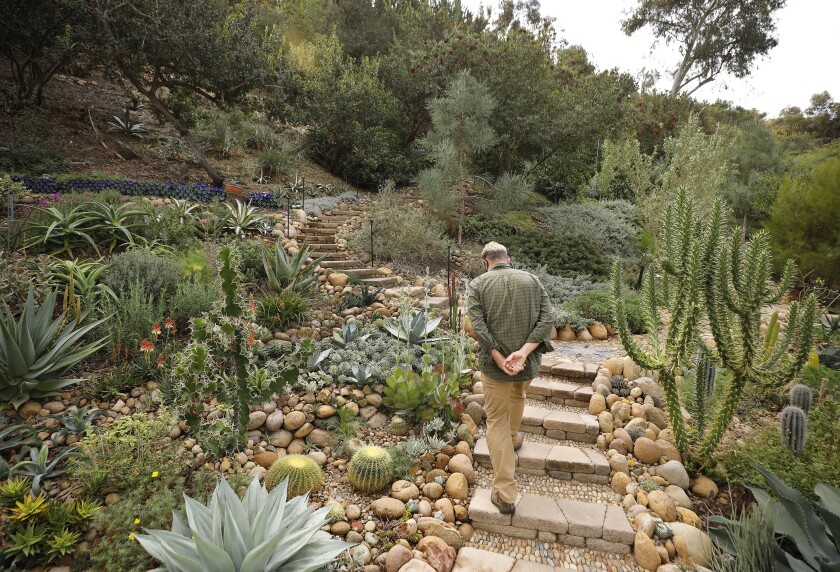 Jim Bishop climbs the 300-step stairway of stone surrounded by his drought-tolerant garden, which has multiple microclimates.