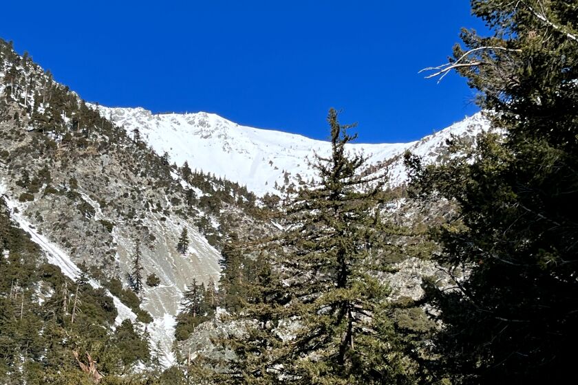 Baldy Bowl is seen blanketed in show and ice near the start of the most popular trail to the Mt. Baldy summit