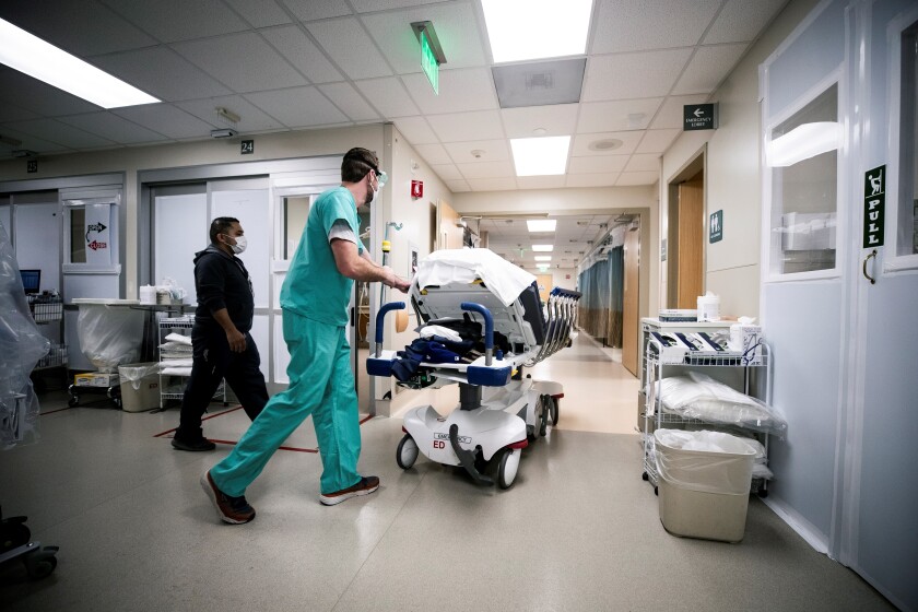 EE.UU. registra la mayor cantidad hasta ahora de niños hospitalizados por  covid - Los Angeles Times