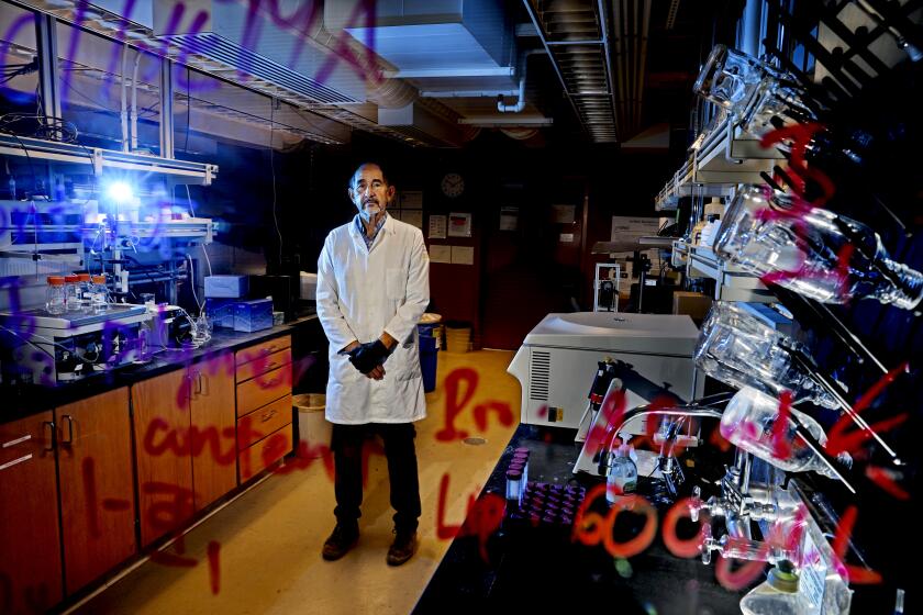 BERKELEY, CA - OCTOBER 15: Professor Ricardo San Martin, Ph.D, 65-years-old, research director of the Alt. Meat Lab, in the Alt. Meat Lab on the Campus of the University of California Berkeley on Friday, Oct. 15, 2021 in Berkeley, CA. Professor Ricardo San Martin, Ph.D, 65-years-old, research director of the Alt. Meat Lab, is working in a UC Berkeley lab with some of his students on the purification of plant-based emulsifiers used to add oil/fats into plant based foods. (Gary Coronado / Los Angeles Times)