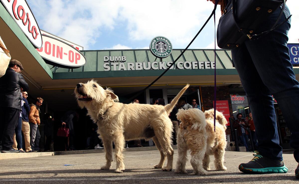 Patrons wait in line outside "Dumb Starbucks" in Los Feliz on Sunday afternoon.