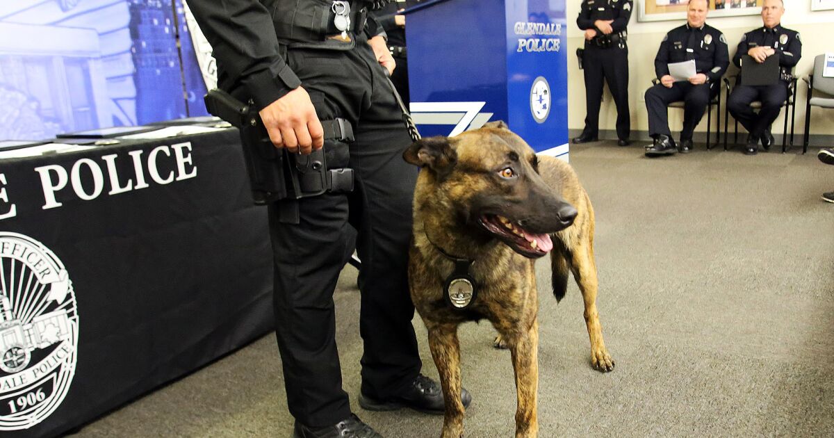 California bill would ban police dogs from arrests and crowd control, citing racial trauma