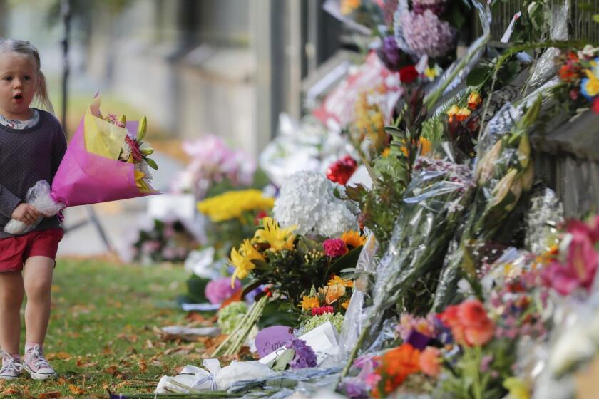 FILE - In this March 17, 2019, file photo, a girl carries flowers to a memorial wall following the mosque shootings in Christchurch, New Zealand. New Zealand's parliament on Wednesday passed sweeping gun laws which outlaw military-style weapons, less than a month after the nation's worst mass shooting left 50 dead and 39 wounded in two mosques in the South Island city of Christchurch. (AP Photo/Vincent Thian, File)