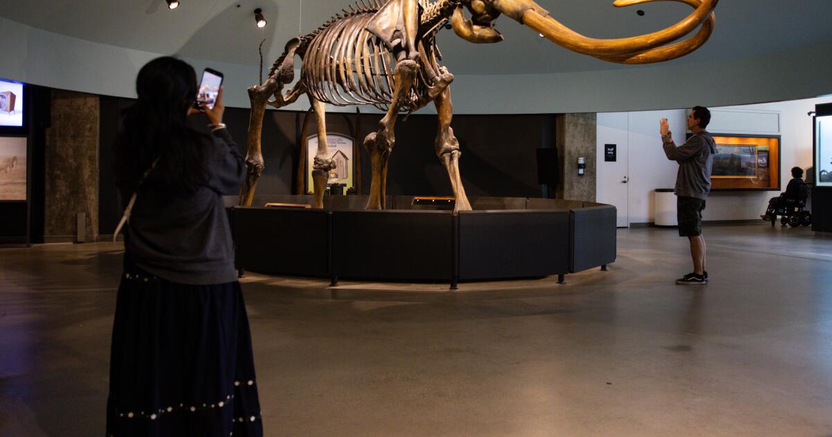 Adeus, Smilodon: O La Brea Tar Pits ficará fechado por dois anos