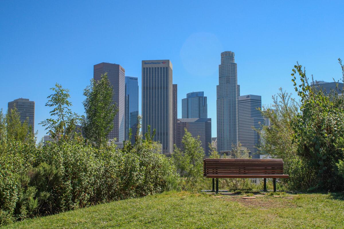 This bench in Vista Hermosa Natural Park is one of the most popular photo-shoot areas in the city's parks.