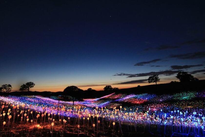 “Field of Light at Sensorio” is a sculpture that combines nature, art and technology in Paso Robles.